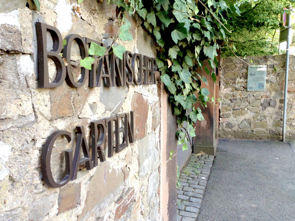 Botanischer Garten