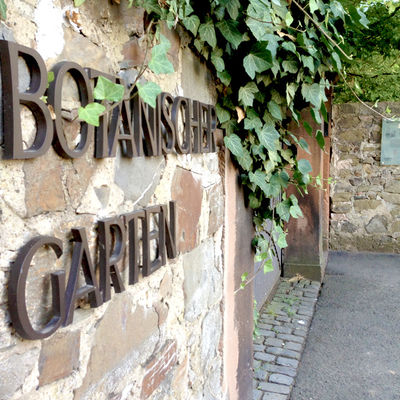 Botanischer Garten