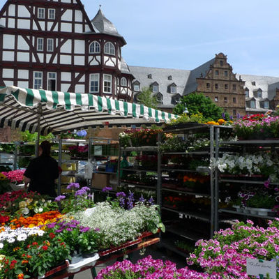Blumen auf dem Wochenmarkt in Gießen
