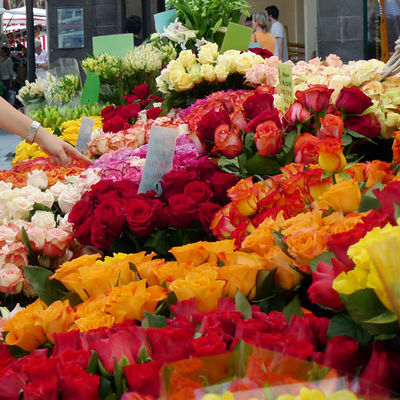 Blumen auf dem Wochenmarkt Gießen