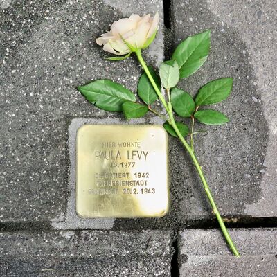 Stolperstein Paula Levy