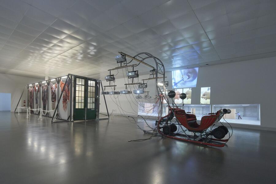 Raphaela Vogel, DIe Dressur des Raumes, 2024, Installationsansicht