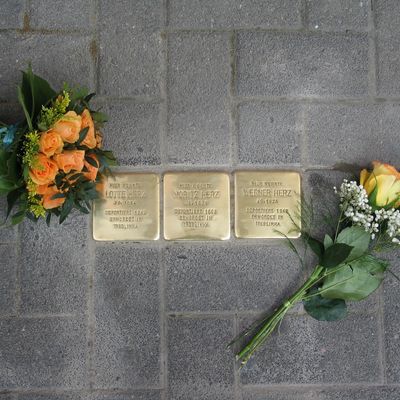 Neuen B�ue 23 - Stolpersteinverlegung