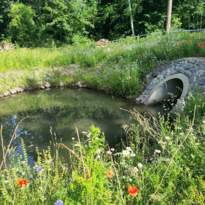 rundes Zulaufbauwerk des Regewasserkanals als Mini-Fischteich