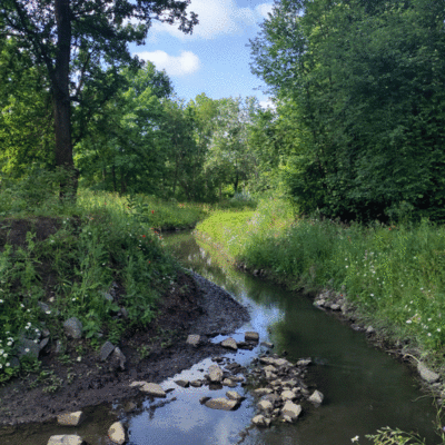 neue Lebensrume durch Strsteine im Bachlauf