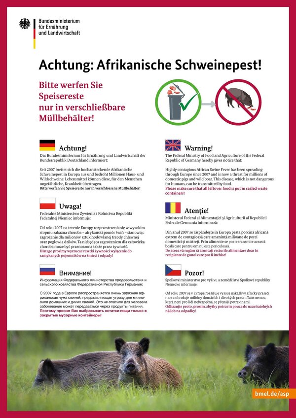 Plakat "Achtung Afrikanische Schweinepest!" Das mehrsprachige Plakat weist an vielen Rastst&auml;tten, Wanderparkpl&auml;tzen und anderen Stellen im Landkreis Gie&szlig;en darauf hin, dass keine Speisereste im Freien zur&uuml;ckgelassen werden sollen. Das Veterin&auml;ramt des Landkreises Gie&szlig;en hat diese Schilder vom Bundeslandwirtschaftsministerium beschafft.