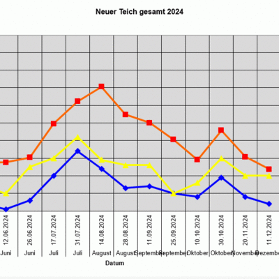 Wasseruntersuchungen Neuer Teich 2024