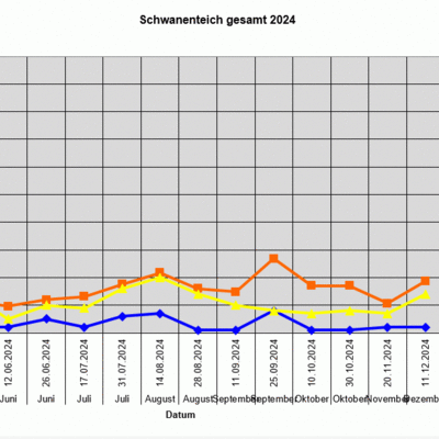 Wasseruntersuchungen Schwanenteich 2024