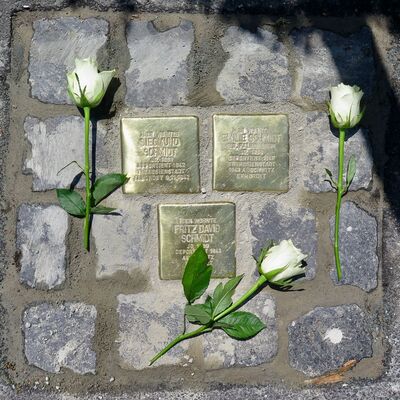 Stolpersteine Wilhelmstra�e 12