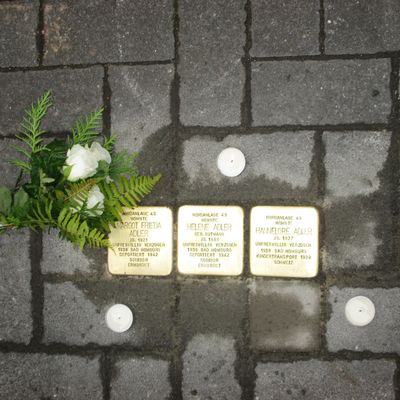 Nordanlage 49 - Stolpersteinverlegung                            