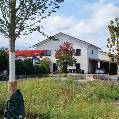 Baumbestandene Versickerungsmulde Allendorf