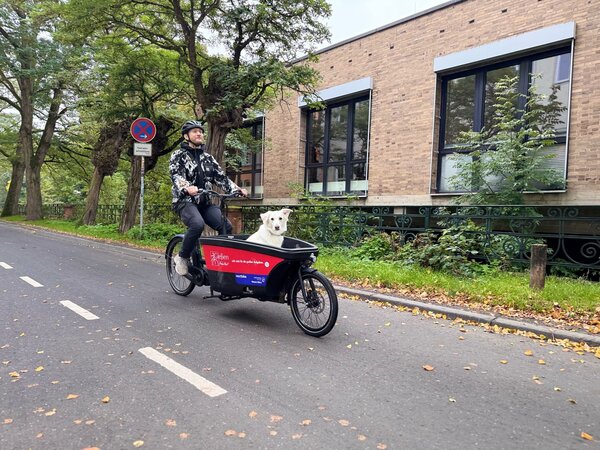 Fahrrad Nextbike Ludwig