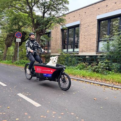 Fahrrad Nextbike Ludwig