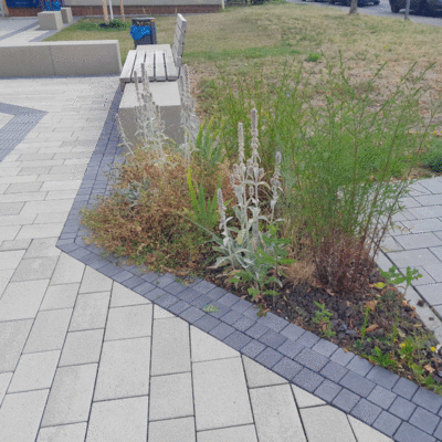 Keinzelliges Kruterbeet