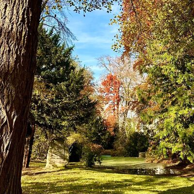 Herbst im Park an der Ostanlage