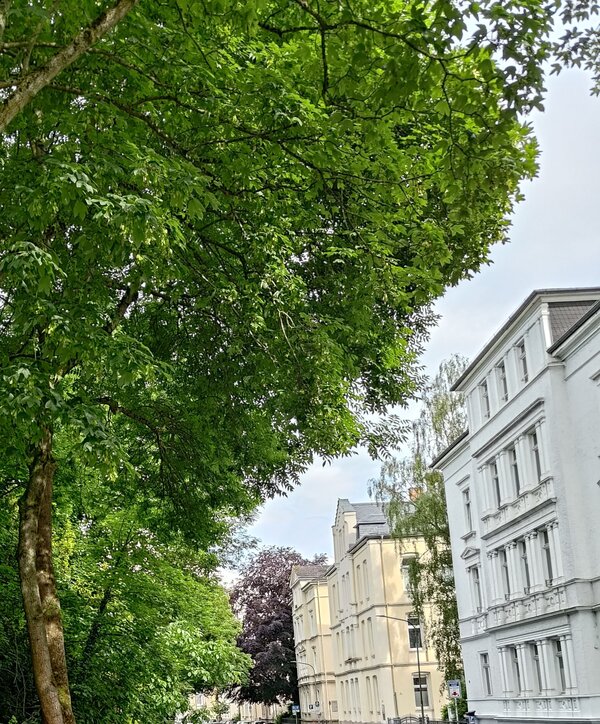 Alicenstrae Gruppe Fhrung 052024_JM - Kopie