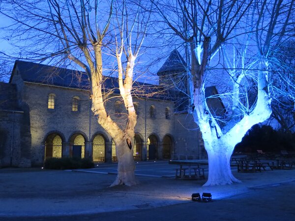 Schiff_Basil_mitLicht+B�ume(2)