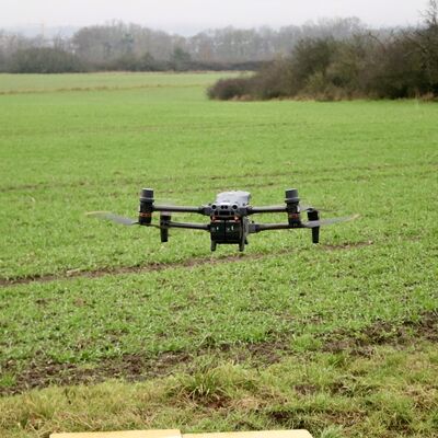 Insgesamt werden in dieser Woche rund 1.000 Hektar Stadtwald �berflogen, um den Wildtierbestand zu erfassen.