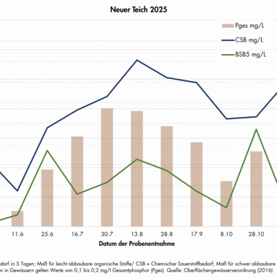 Wasseruntersuchungen Neuer Teich 2025