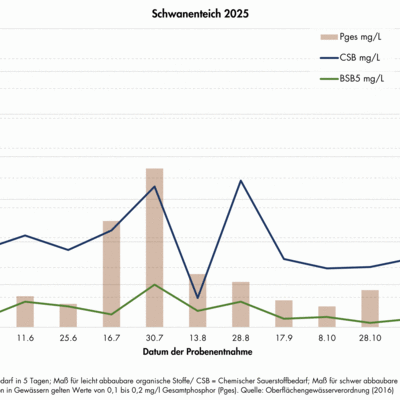 Wasseruntersuchungen Schwanenteich 2025