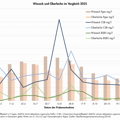 Wasseruntersuchungen Wieseck und Oberlache im Vergleich 2025