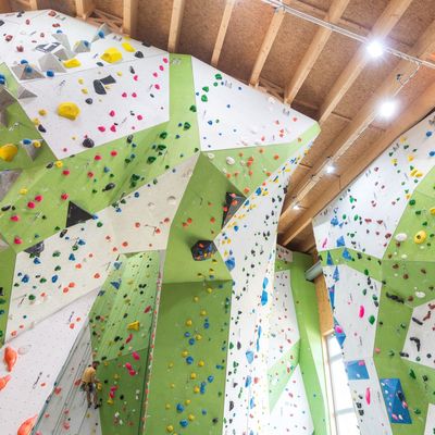Kletterwand in der Kletterhalle Gieen