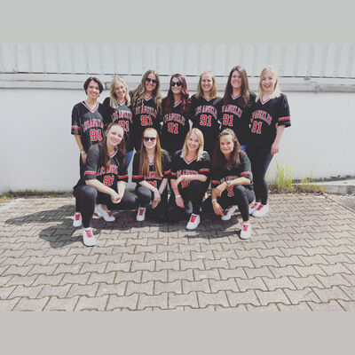 Gruppenbild Tanzgruppe "Dultis" aus Gie&szlig;en