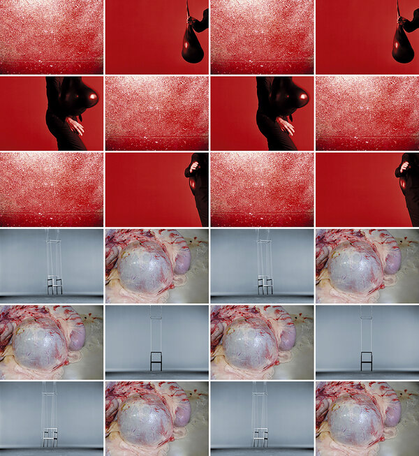 Ausstellung J�rgen Klauke - Schlachtfelder (Detail), 2009 - 2010. Courtesy of the artist.