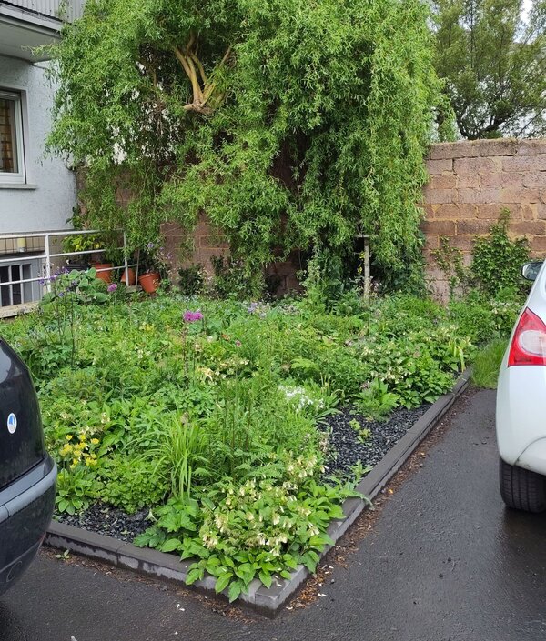 Gr&uuml;neMitteGie&szlig;en