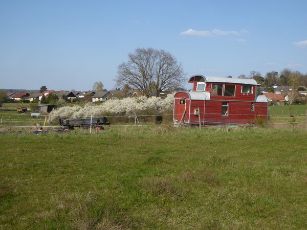 Naturpfad in R�dgen 