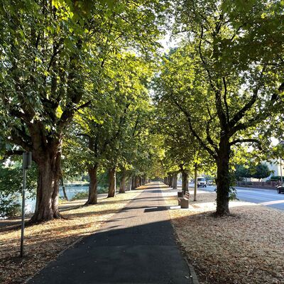 Eichg&auml;rtenallee Gie&szlig;en