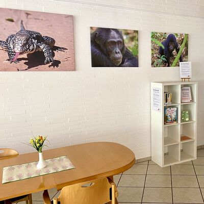 "Buchkreislauf."-Regal im AWO Seniorenflegeheim Albert-Oswald-Haus