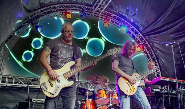 Pigs in Rock