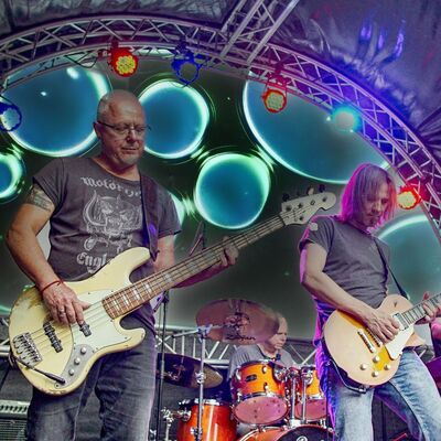 Pigs in Rock