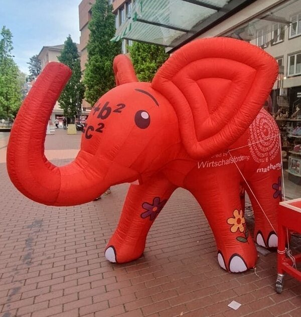 Baby Elefant