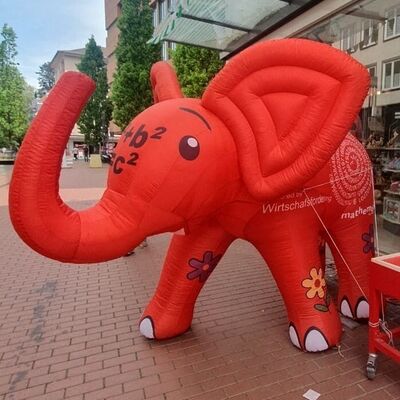 Dieser kleine Elefant hat noch keinen Namen. Es k�nnen Namen vorgeschlagen werden, womit Elefantastische Preise gewonnen werden k�nnen.