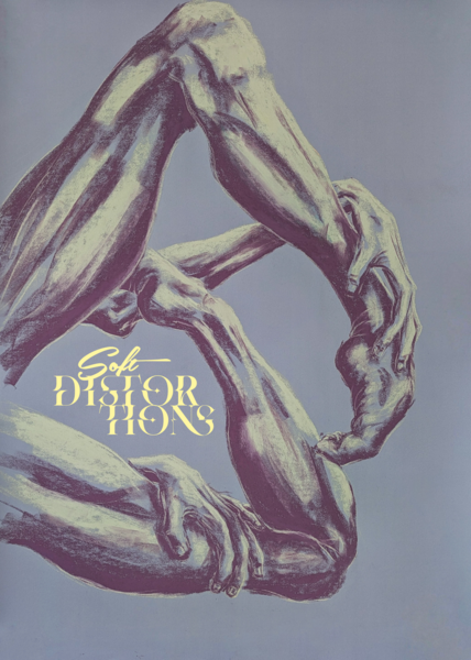 Plakat zur Austellung Soft Distortions