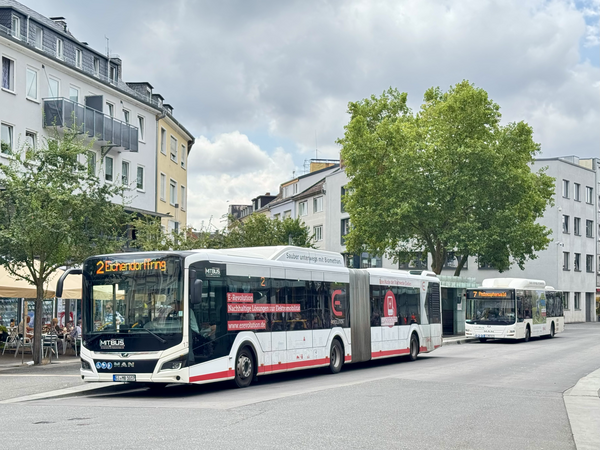 Busse am Marktplatz im Sommer