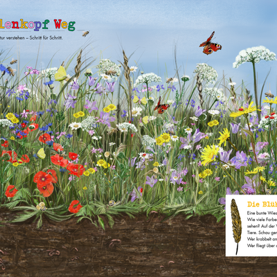 Eine bunte Wiese mit vielen Blumen. Wie viele Farben kannst Du bei den Bl&uuml;ten sehen? Auf der Wiese leben aber auch viele Tiere. Schau genau hin. Wer kriecht am Boden? Wer krabbelt an den Pflanzen entlang? Wer fliegt &uuml;ber den Pflanzen?