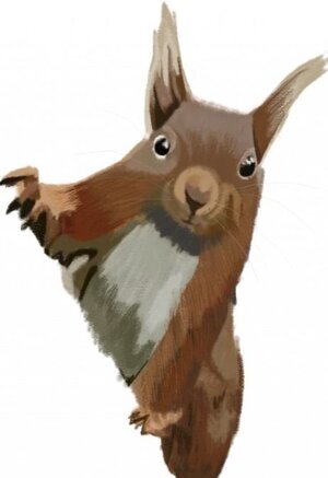 Eichh&ouml;rnchen