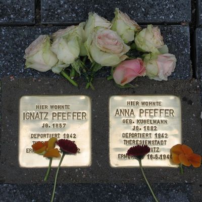 Stolpersteine Pfeffer
