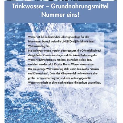 Weltwassertag 2020 - Plakat allgemein