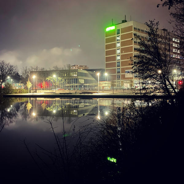 THM Spiegelung im Schwanenteich