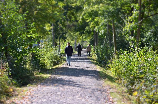 Spazierg�nger in der Wieseckaue