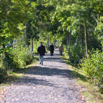 Spaziergnger in der Wieseckaue