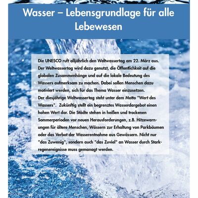 Weltwassertag 2021 Plakat allgemein