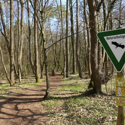Wanderweg im Bergwerkswald