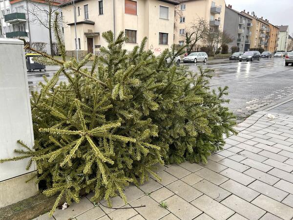 Weihnachtsb&auml;ume an der Stra&szlig;e