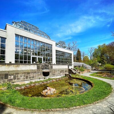 Gewächshaus im botanischen Garten im Frühjahr 2022 Instagram