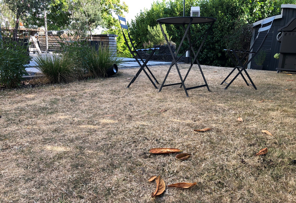 Vertrocknetes Gras in einem Garten